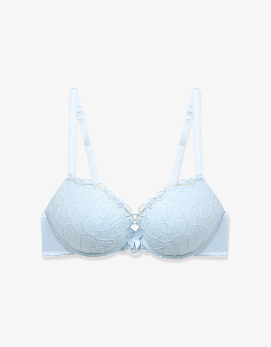 Embroidered Lace Push-Up Plunge Bra