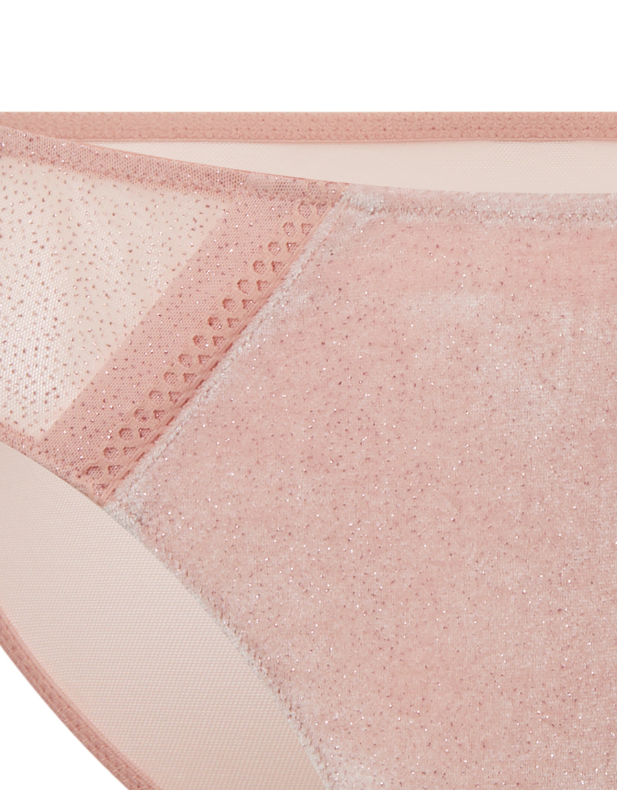 Velvet And Shimmer Mesh Bikini