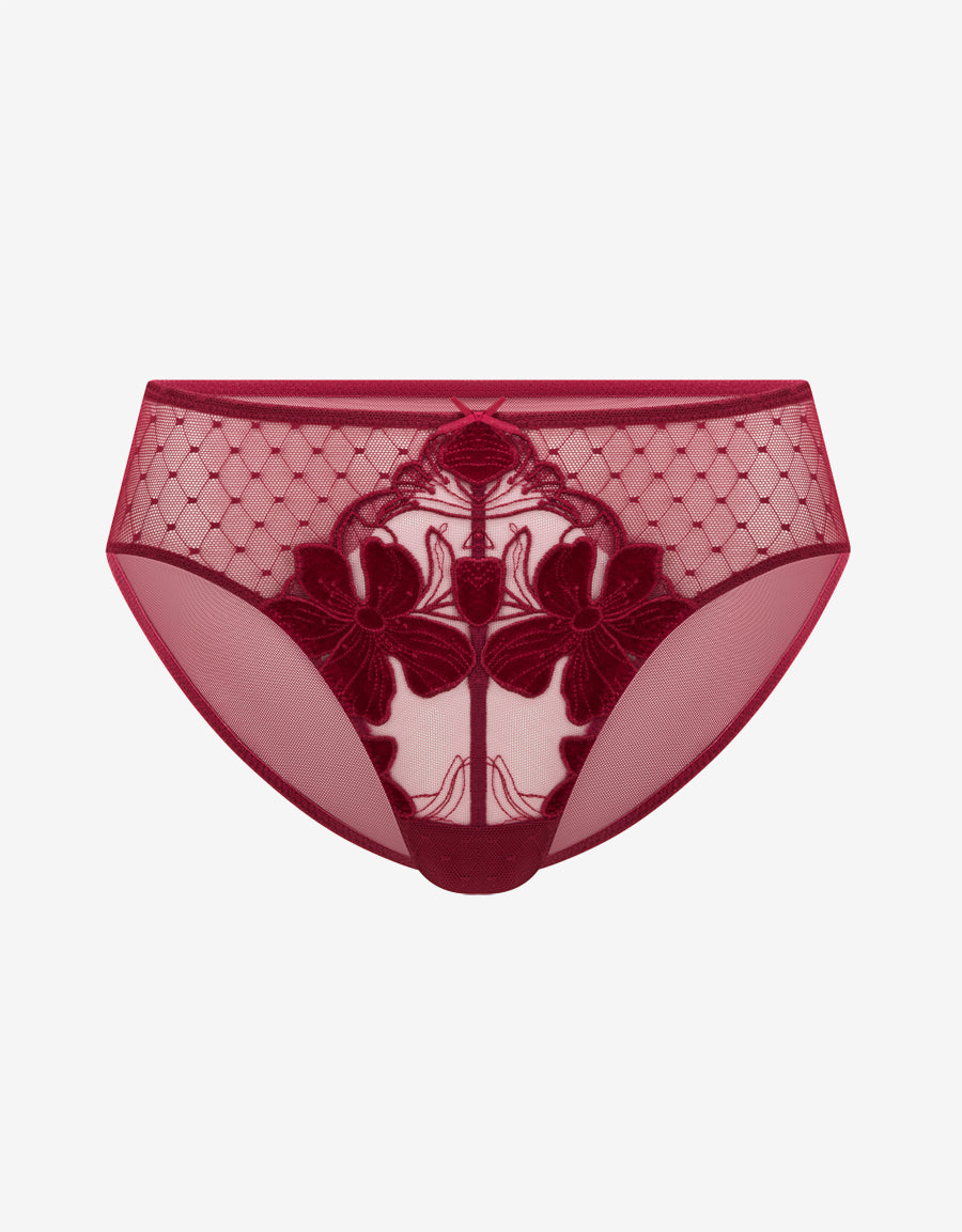 Lace And Mesh Bikini