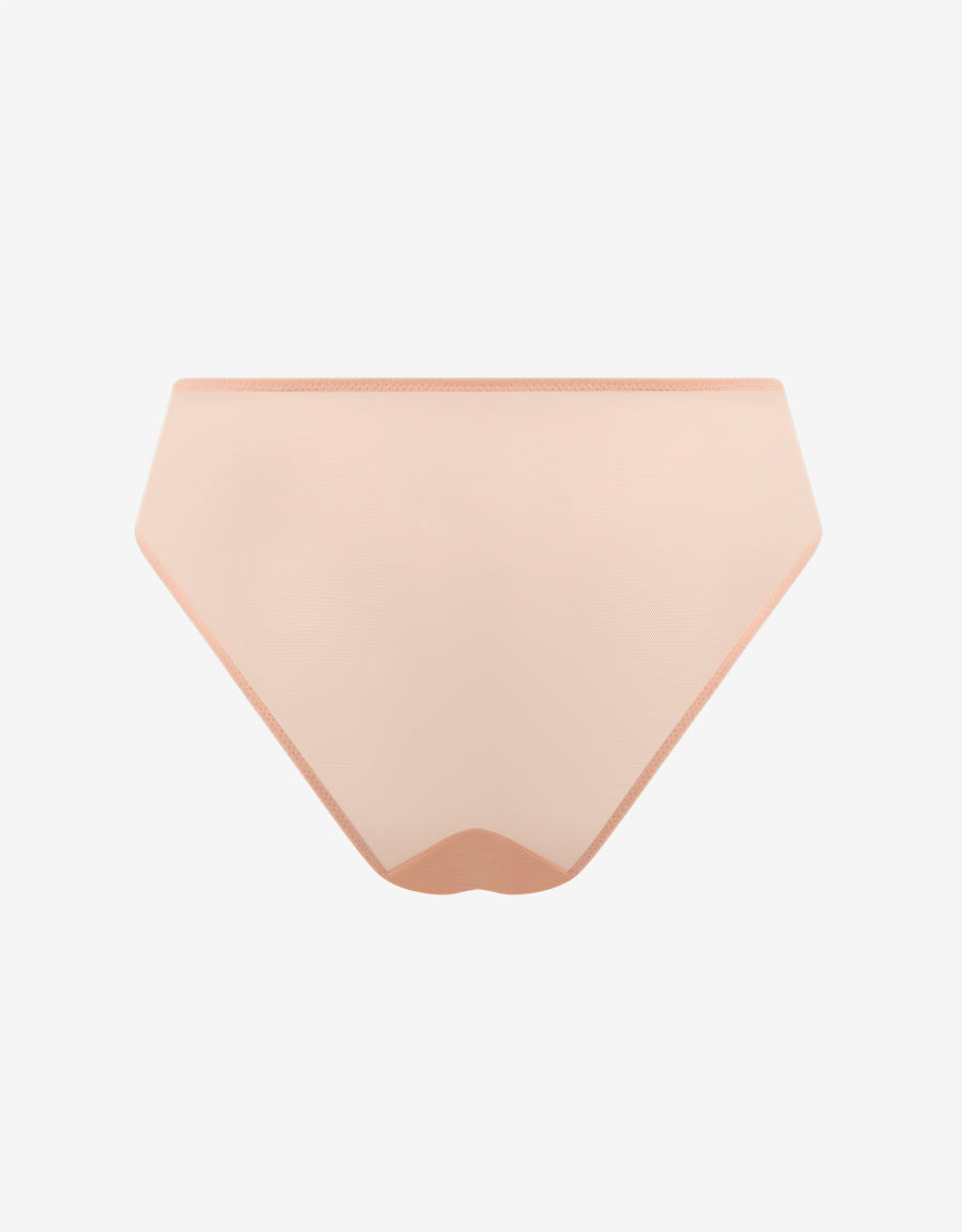 Mesh And Embroidery Tanga