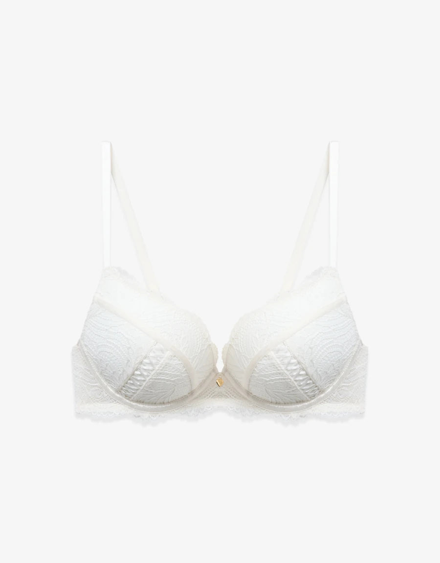 Lace Double Push-Up Plunge Bra