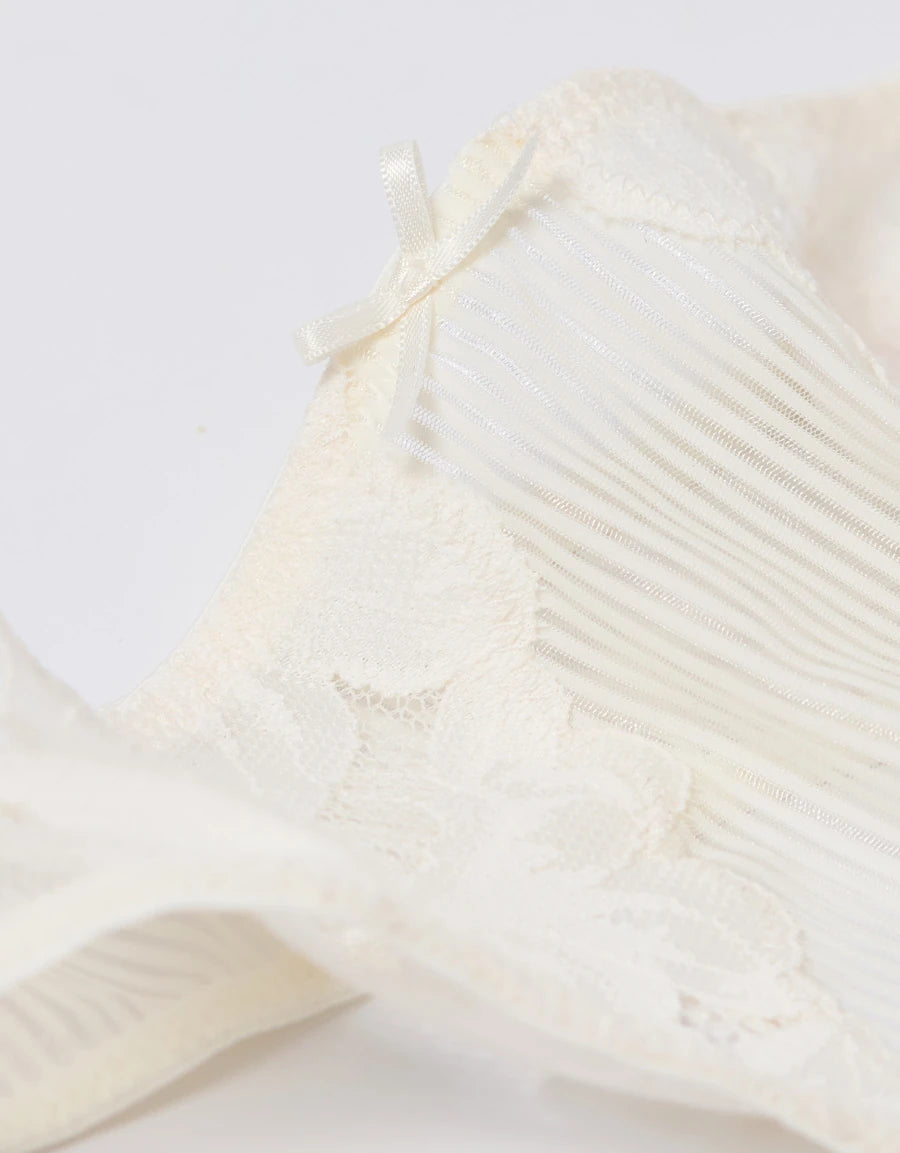Embroidered Lace Hipster Panty