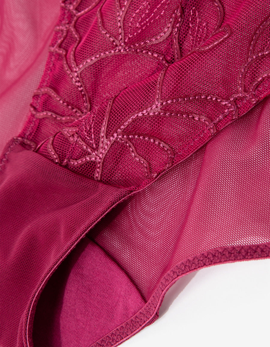 Embroidered Lace Bikini Panty