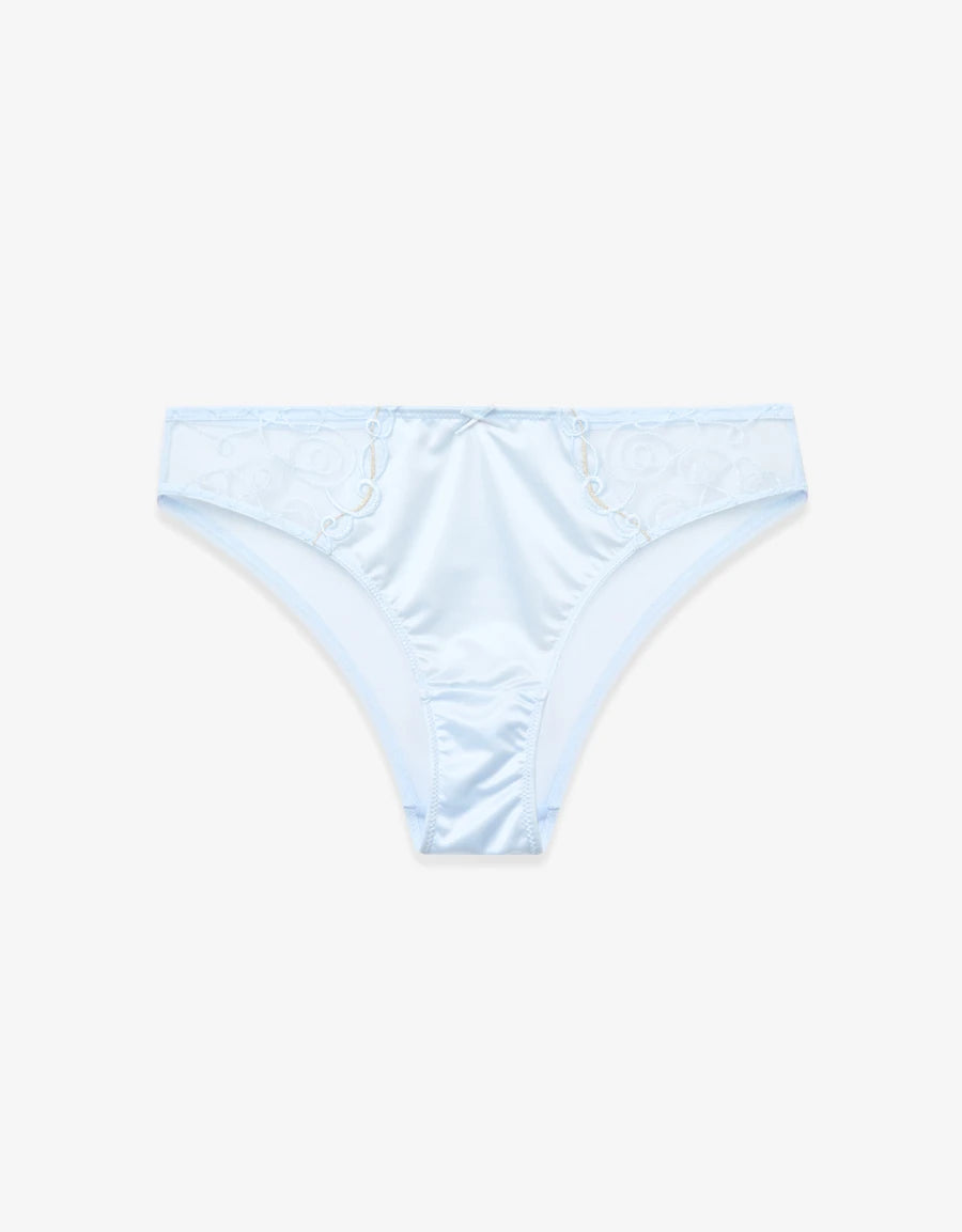 Embroidered Satin Brazilian Panty