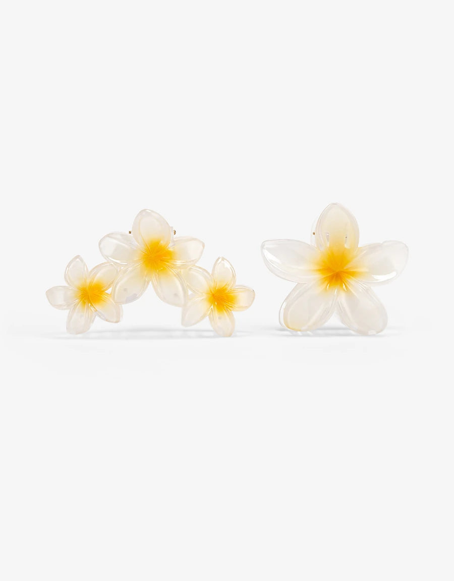  Floral Hair Clip Set