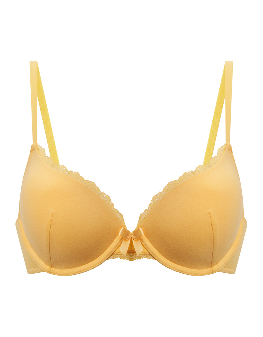 Plunge Bra